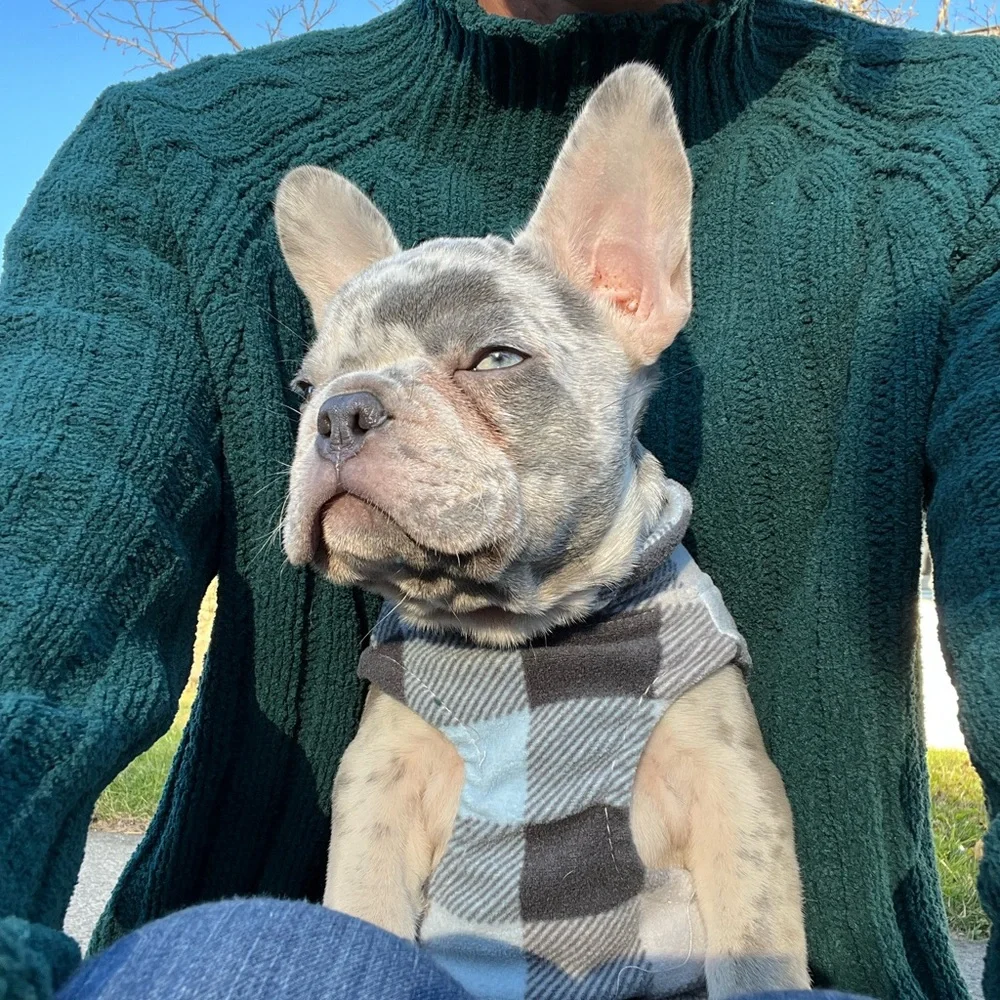 Lakefront Lux Live Show - Picture 13 of 14